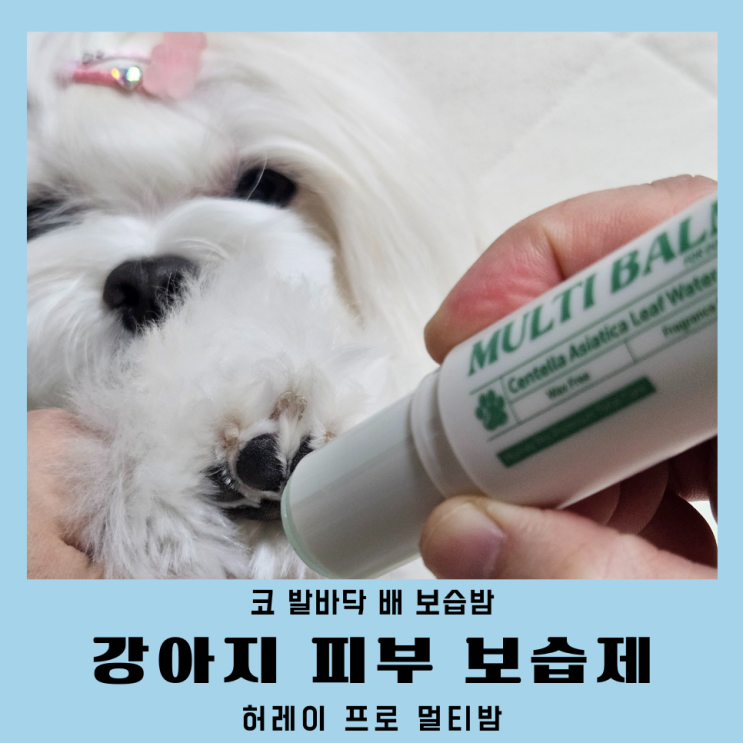 강아지 피부 보습제 허레이 프로 멀티밤 반려동물 발밤 후기