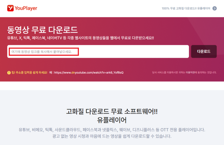  동영상 추출 사이트 (유튜브, 인스타 릴스, 틱톡 등)