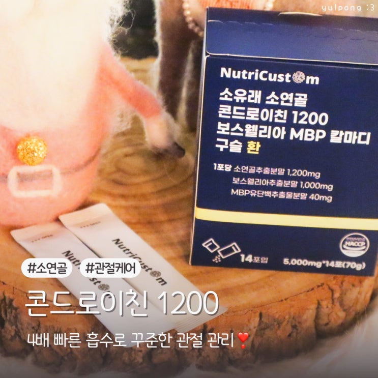  4배 빠른 흡수 뉴트리커스텀 콘드로이친 1200 소연골 관절·뼈 건강 한 번에