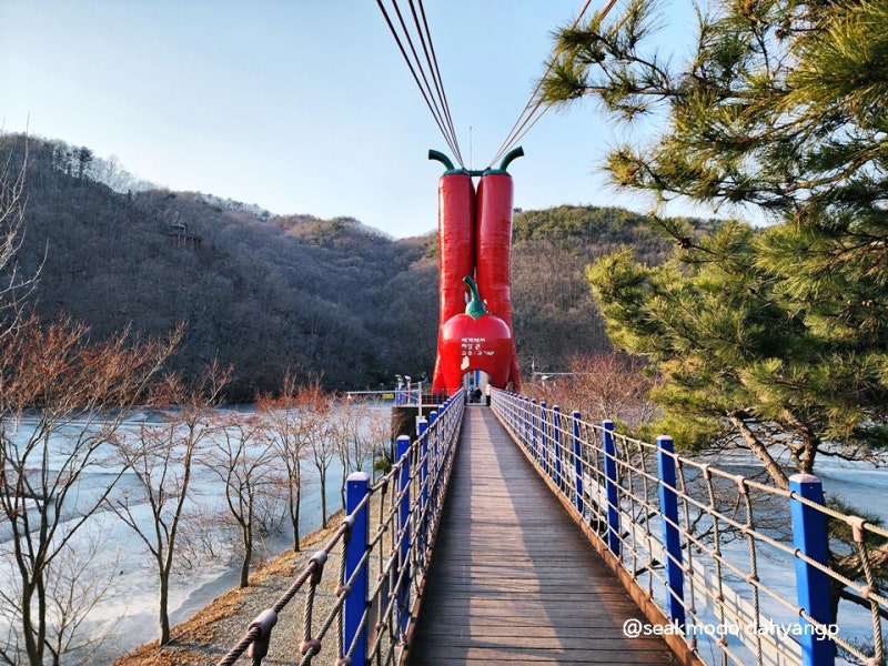 충청도 아이와 가볼만한곳 청양 칠갑산 천장호 출렁다리 나들이