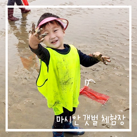  마시안갯벌체험장으로 고고씽!!!