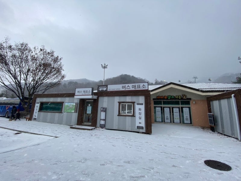 뚜벅이의 비발디파크 방문기 | 홍천 비발디파크 셔틀버스 & 800번 버스노선