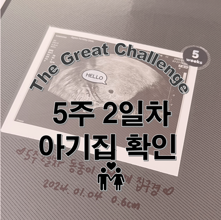  5주2일 아기집 구경부터 5주4일 쓰리라인 임테기까지