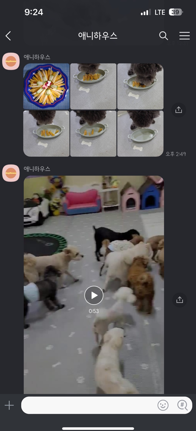사진 3
