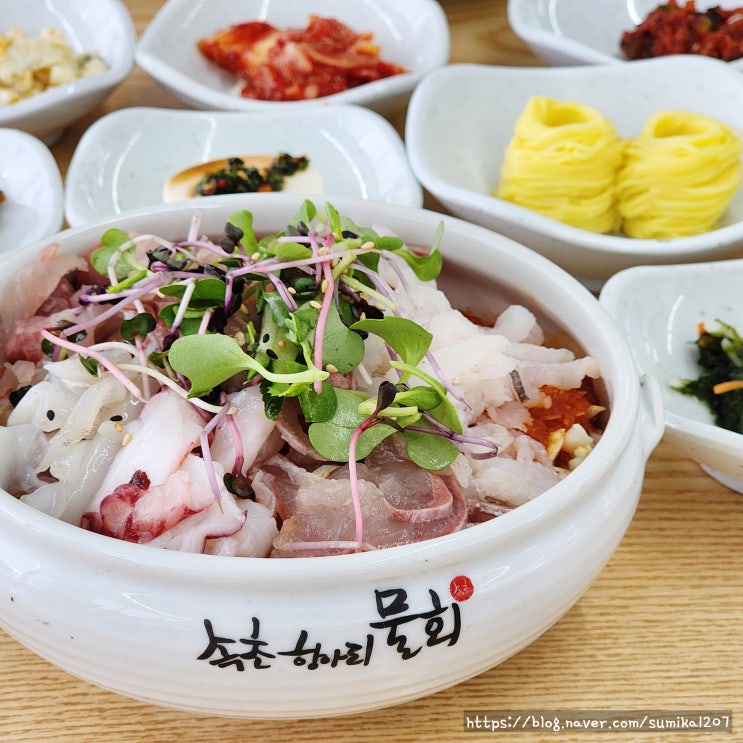 속초 맛집 속초항아리물회 회덮밥 주차 내돈내산 속초 맛집 속초항아리물회 회덮밥 주차 내돈내산