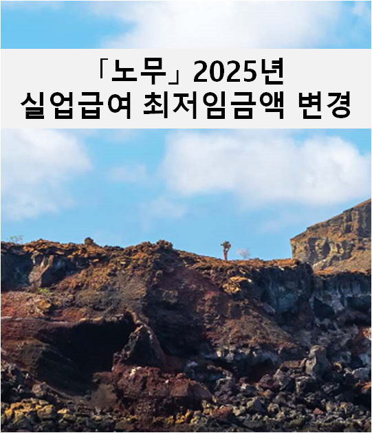  [노무] 2025년 실업급여 최저액 변경