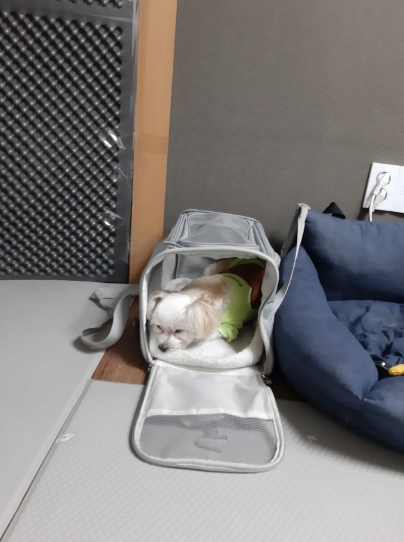 사진 4