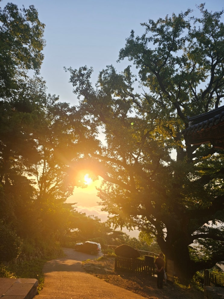  남양주 운길산에 자리 잡은 수종사 가는길과 경이로운 일출