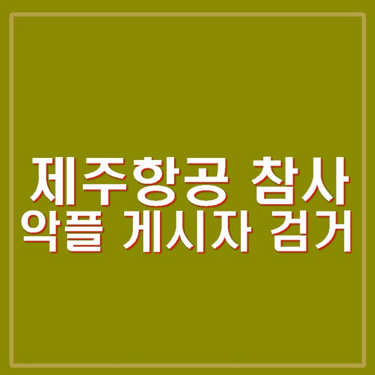 <b>제주항공 참사 악성</b>글 게시자 30대 1명 검거 99건 수사 중