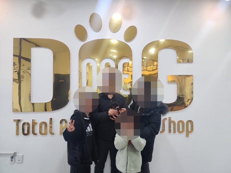  믿을 수 있는 강아지 분양, 세종 원독에서 실버 토이푸들 대전 행복한 가정으로 입양 완료!