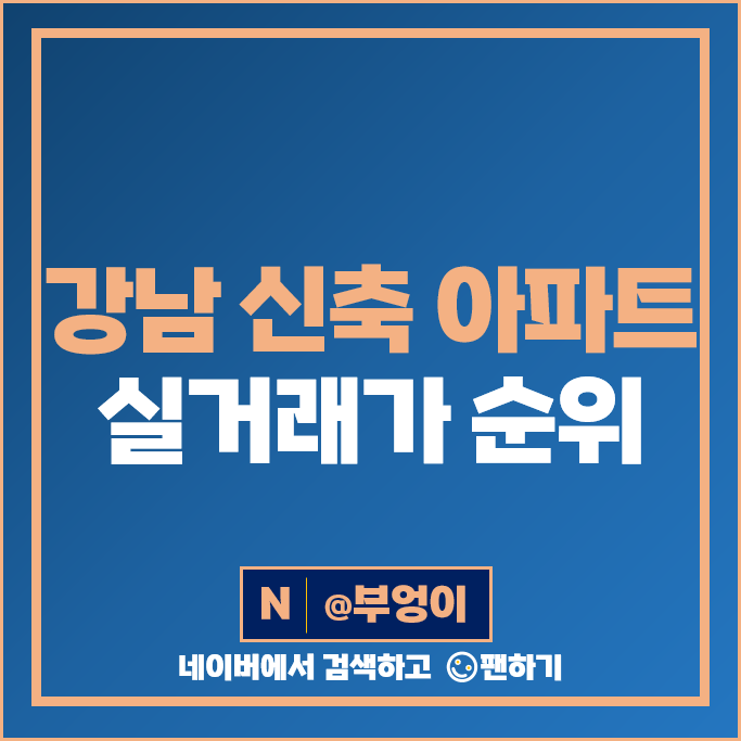 강남 신축 아파트 매매 가격 순위 개포래미안포레스트 디에이치자이개포 대치르엘 시세 강남 신축 아파트 매매 가격 순위 개포래미안포레스트 디에이치자이개포 대치르엘 시세