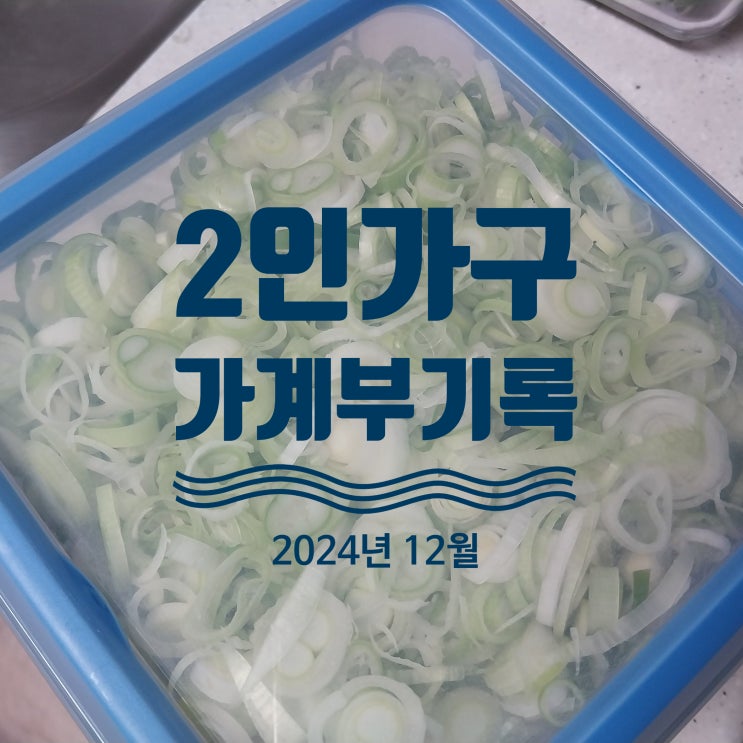  미니멀 살림 2인 가구 월간 가계부 기록 2024년 12월