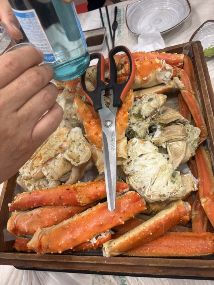  마산어시장 둥지횟집 킹크랩/대게먹자