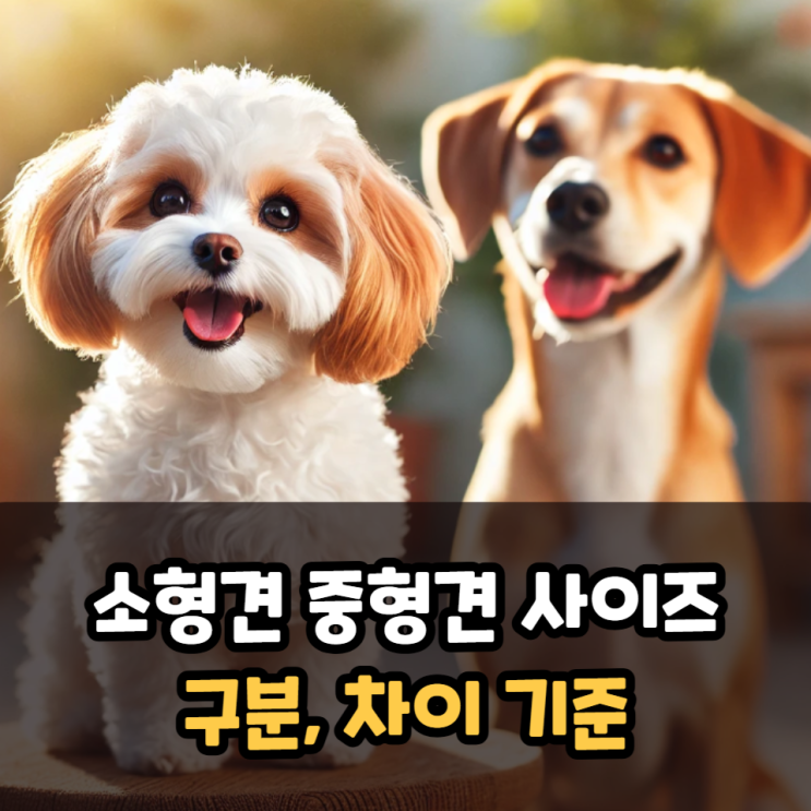  소형견 중형견 사이즈 차이 기준