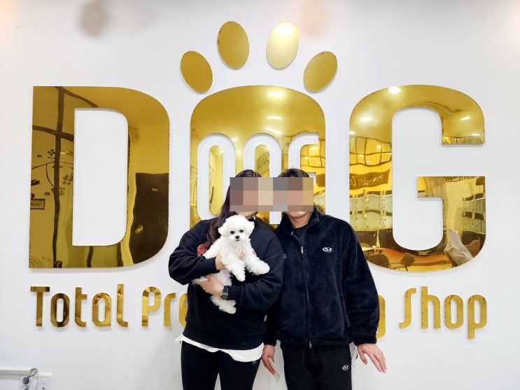  깨끗한 환경, 사랑 넘치는 케어! 세종시 강아지 분양은 원독 애견분양 센터에서