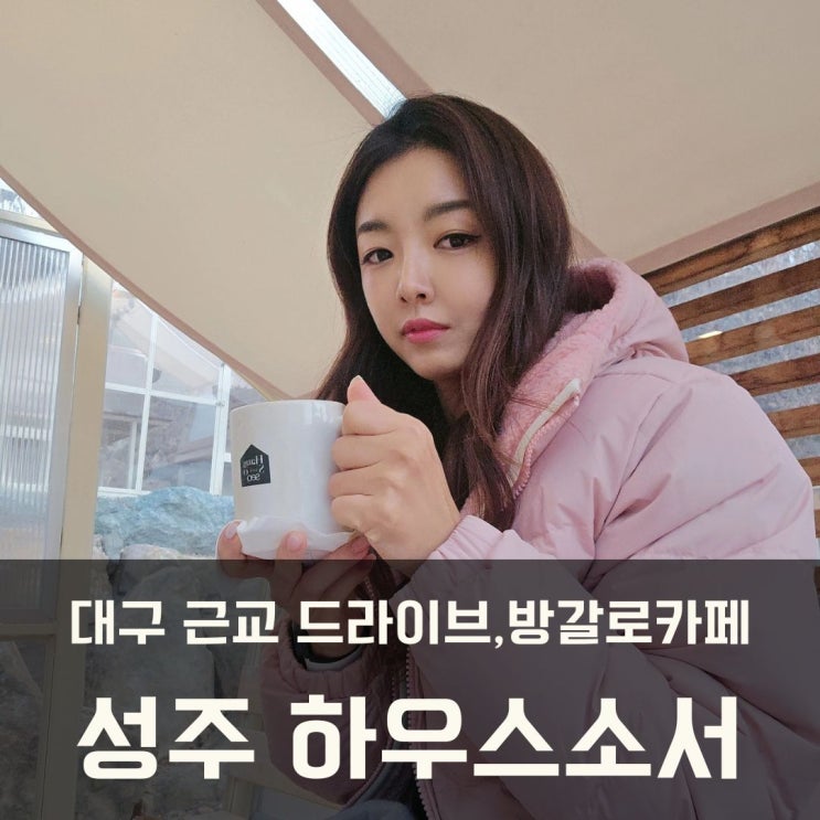  대구 근교 경북 성주 카페 애견동반 가능 하우스소서 방갈로 카페