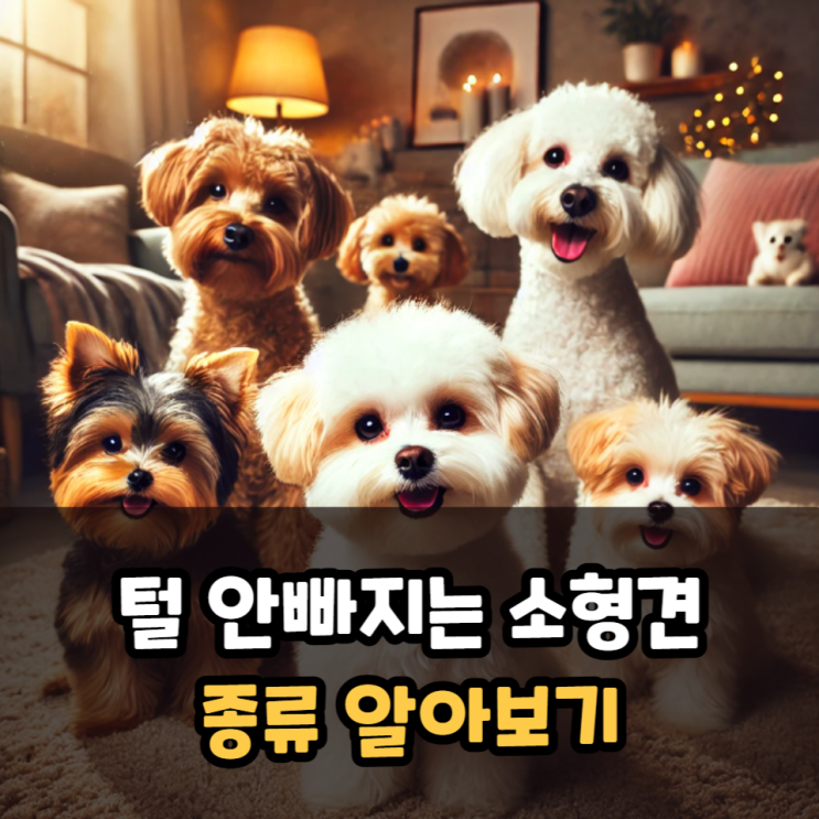  털안빠지는 소형견 종류