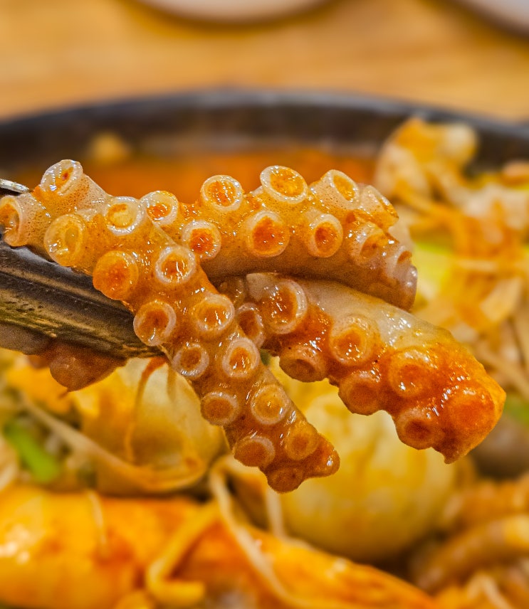  인천 연수동 맛집 낙지랑쭈꾸미 | 산낙지 전골부터 연포탕, 쭈꾸미까지 한곳에서!