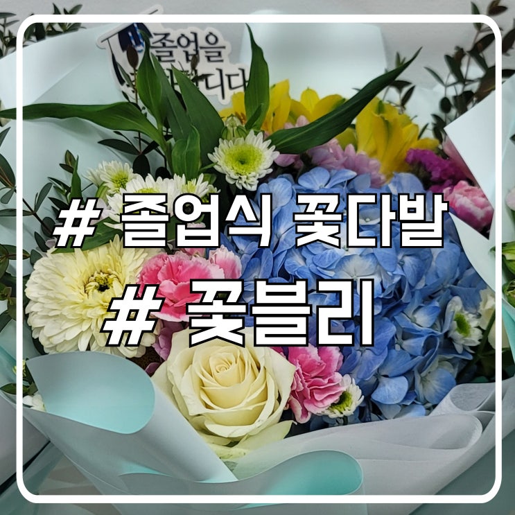  시흥 배곧꽃집 풍성한 졸업식 꽃다발 몬스테라 화분 꽃블리