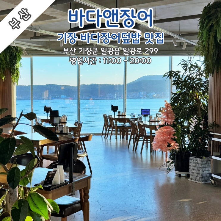  [부산] 부산 기장 맛집, 바다장어덮밥 전문점 '바다앤장어'