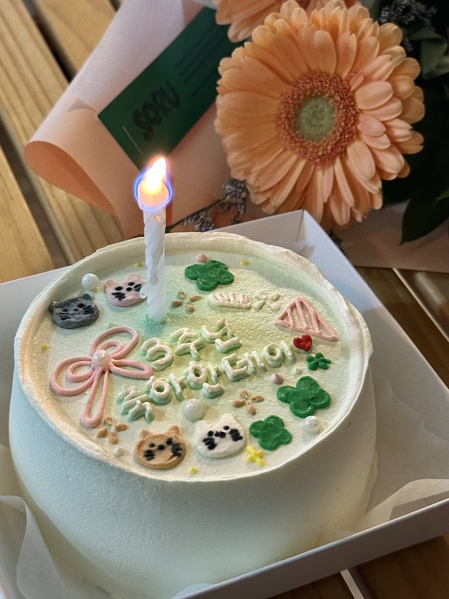 코멜리 사진 6