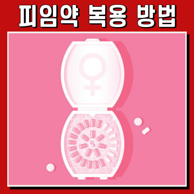 피임약 제대로 복용하는 법: 처음부터 끝까지 완벽 가이드