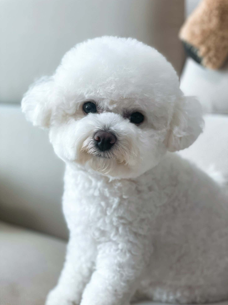사진 2