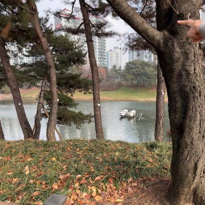 사진 4