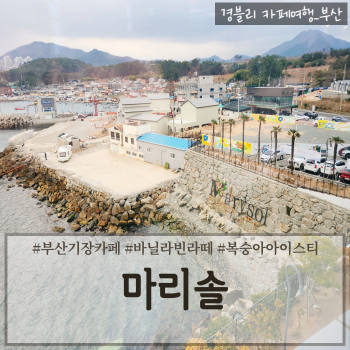  부산기장오션뷰카페 기장브런치카페 일광베이커리카페추천 '마리솔'