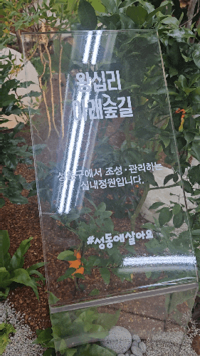  [성동구] 왕십리역에 아래 숲길이 생겼어요