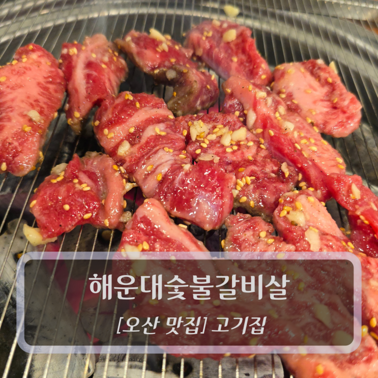  오산 맛집 :: 해운대숯불갈비살 - 오산대역 물향기수목원맛집