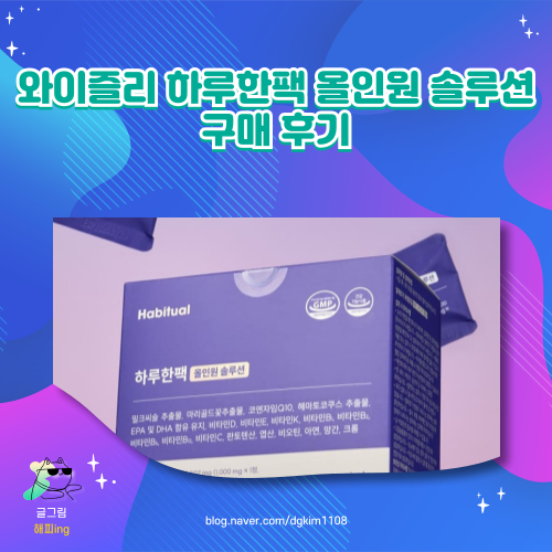  와이즐리 하루한팩 올인원 솔루션 구매 후기