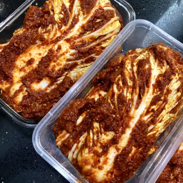  대전 선화동 실비김치 매운김치 맛집 택배 내돈내산