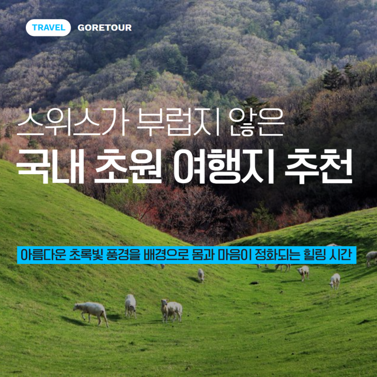  스위스가 부럽지 않은 국내 초원 여행지 추천