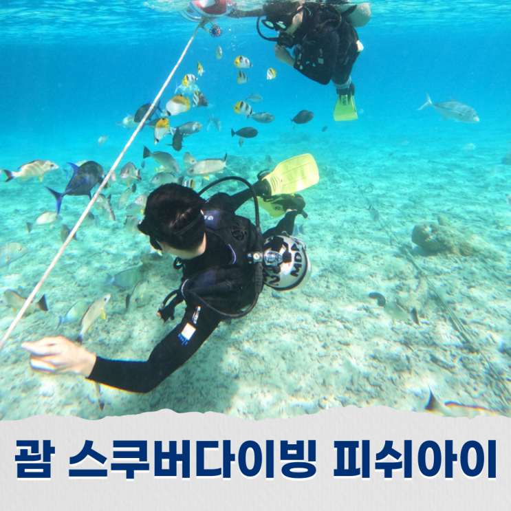   괌 스쿠버다이빙 추천 피쉬아이 포인트 , 괌드림다이브 체험다이빙 후기