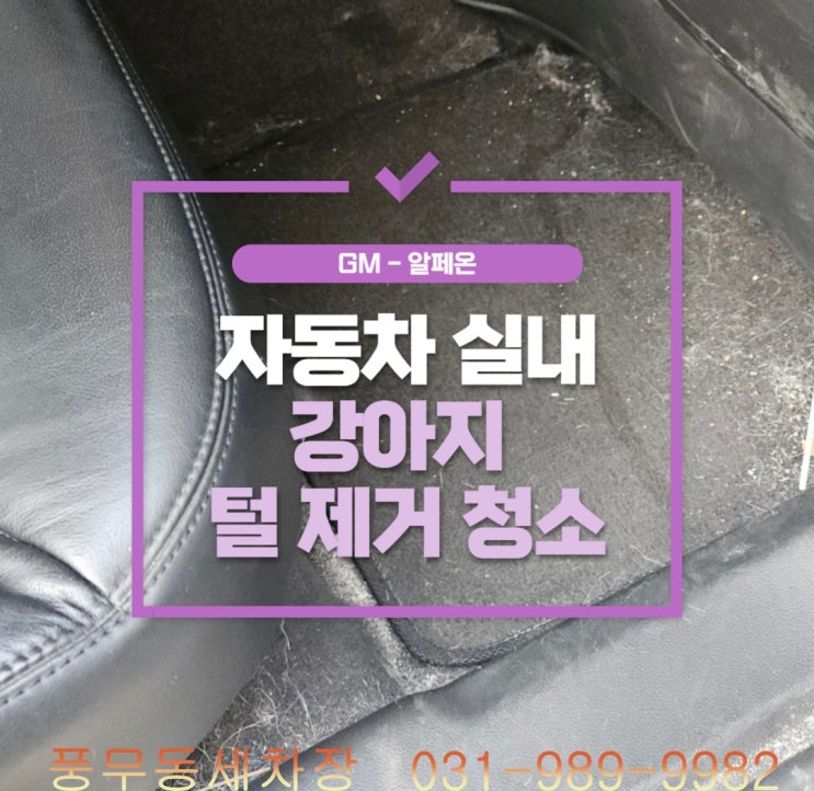  김포 풍무동 홈플러스 뒷편 알페온 자동차 실내 강아지 털 제거 청소