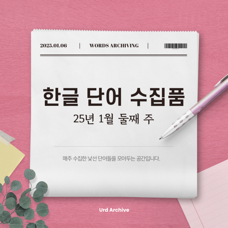  [한글 단어 수집품] 25년 1월 둘째 주: 자인하다, 해자, 투사하다