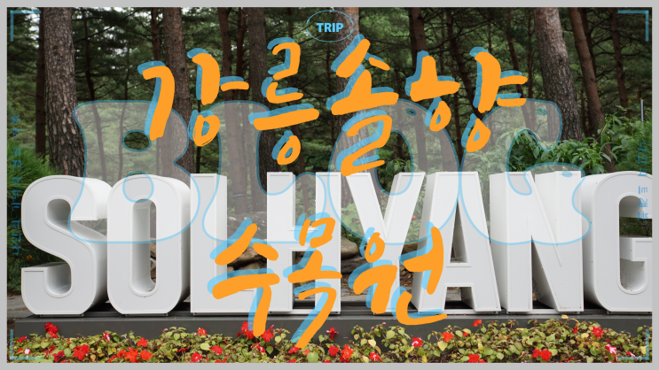  강원도 강릉 생명의 숲 솔향 수목원 힐링여행 열린 관광지