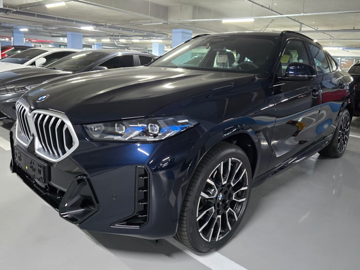 2025 BMW X6 인수 전 일산 전시장 출장 신차 검수