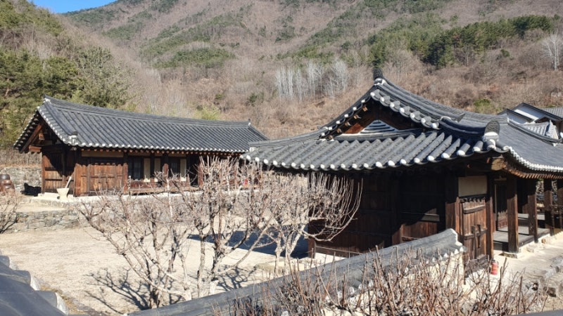 사진 5