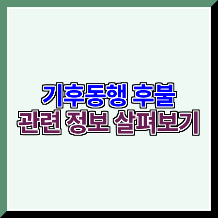 <b>기후동행</b> 후불 금액 확인과 <b>기후동행카드</b> <b>충전</b> <b>카드</b> 내용... 