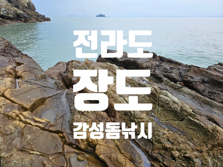  전라도 완도군 금일읍 장도 감성돔 낚시 2025. 1. 5.
