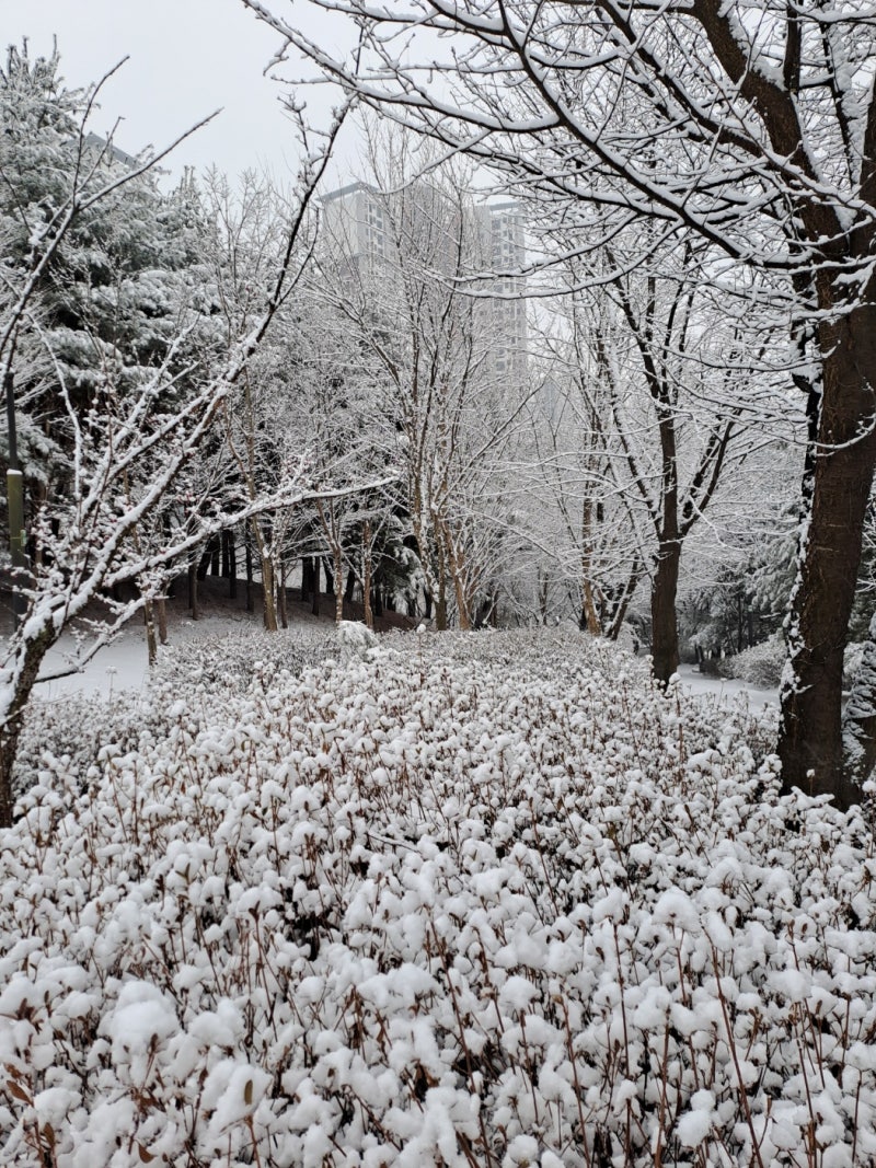 정책지식 2025.1.6. : 네이버 블로그