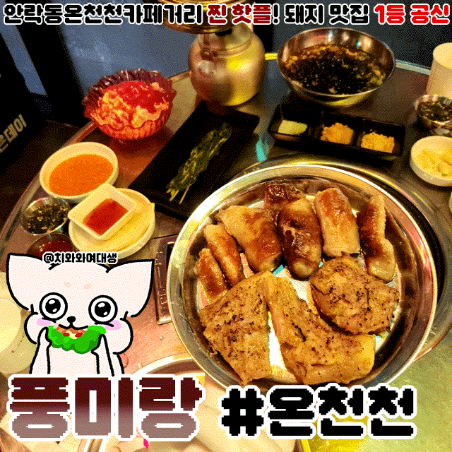  부산온천천카페거리맛집 풍미랑 안락동 애견동반식당