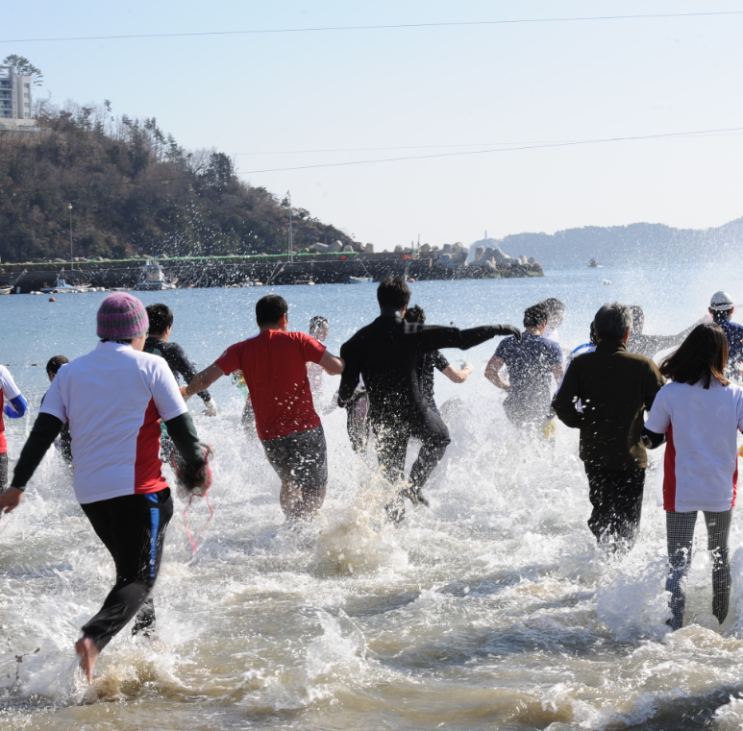  거제도 국제펭귄 수영축제 거제 덕포해수욕장 체험