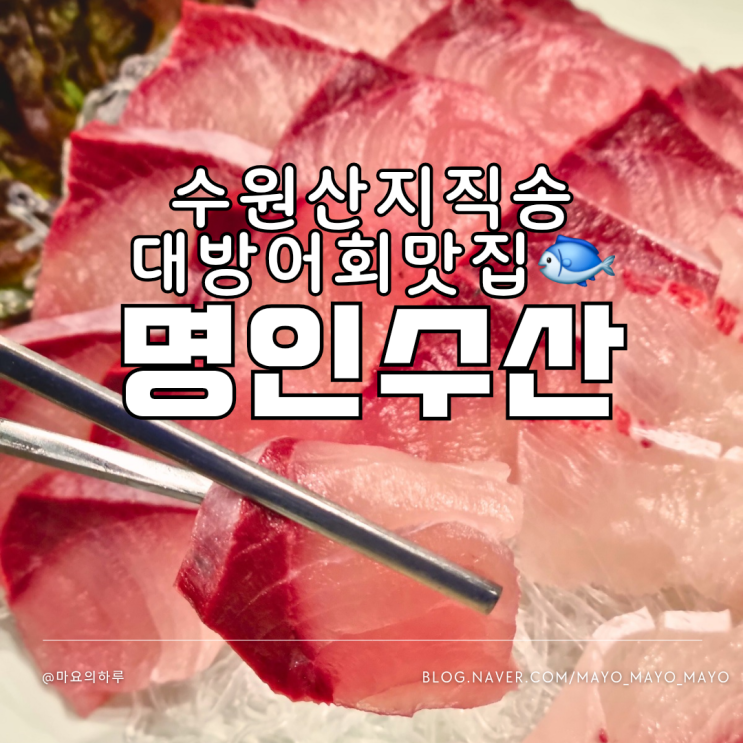  수원가성비횟집 명인수산 수원 방어회 맛집 조원동 횟집