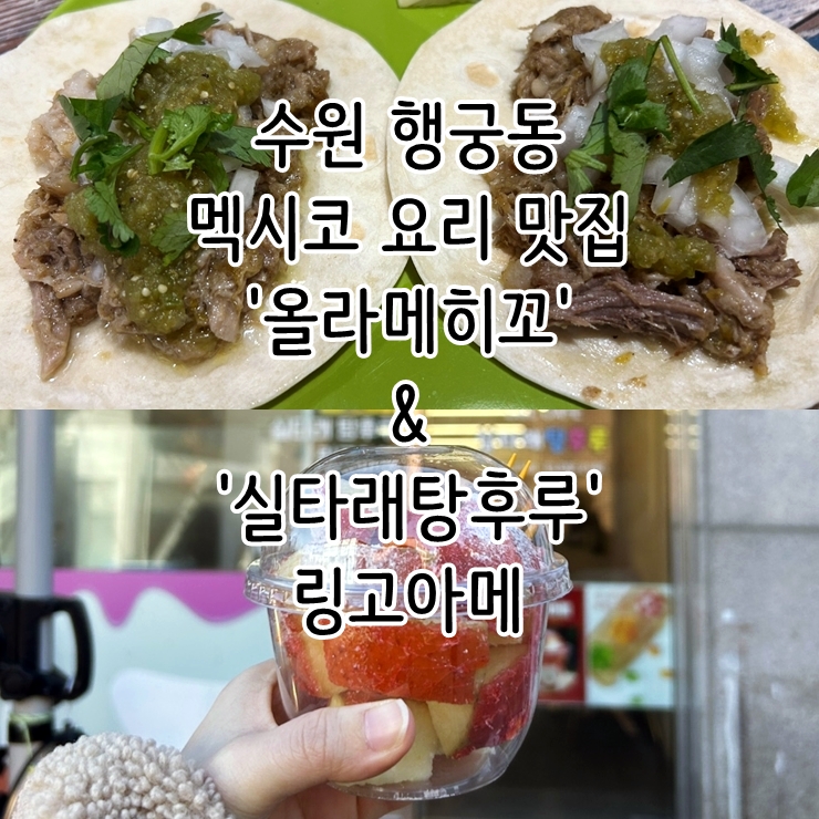  수원 행궁동 멕시코 요리 타코 맛집 '올라메히꼬' & '실타래탕후루' 링고아메