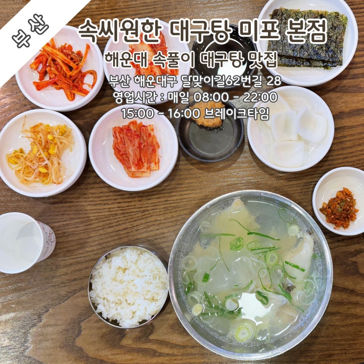  [부산] 해운대 속풀이 대구탕 맛집 '속씨원한 대구탕 미포본점'