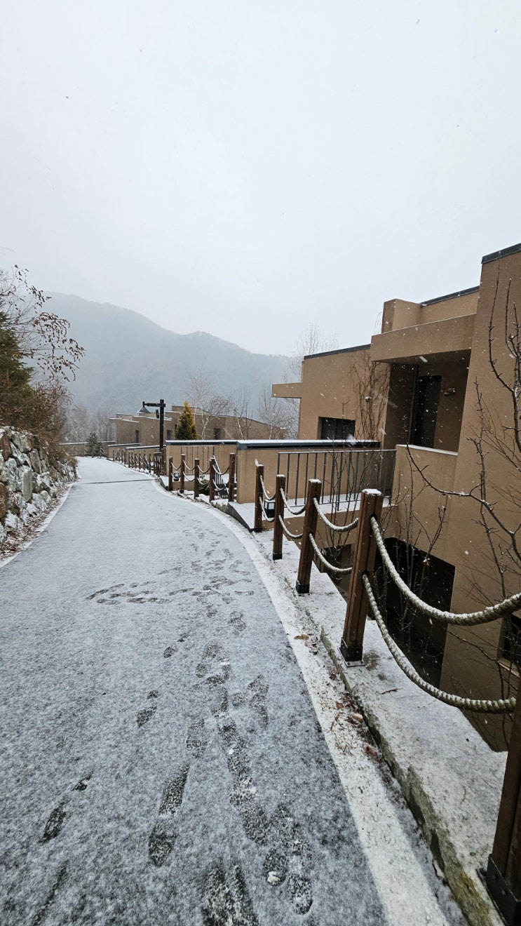  ️ 함박눈이 선물로 내린 힐리언스 가족여행