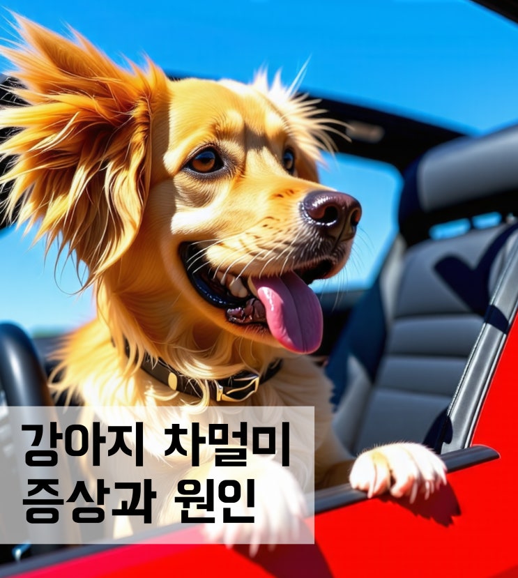  강아지 차멀미 증상과 원인 및 대처법